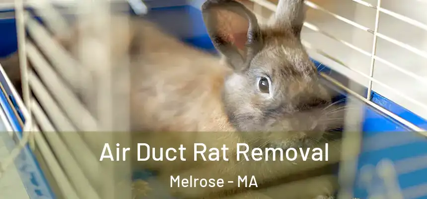  Air Duct Rat Removal Melrose - MA