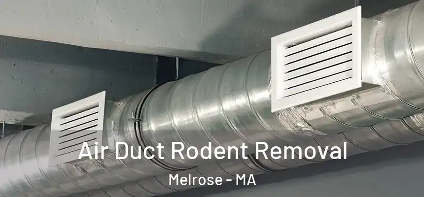  Air Duct Rodent Removal Melrose - MA