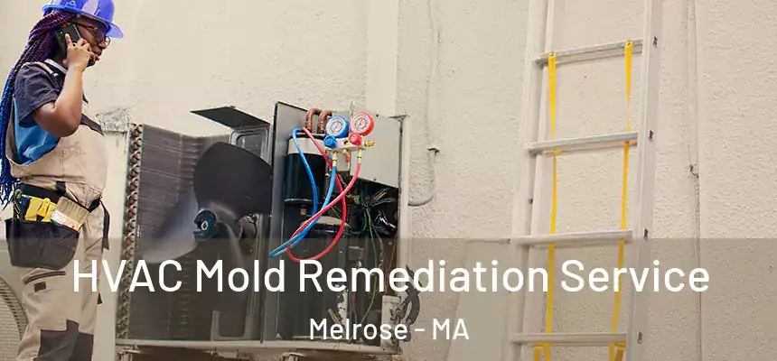  HVAC Mold Remediation Service Melrose - MA