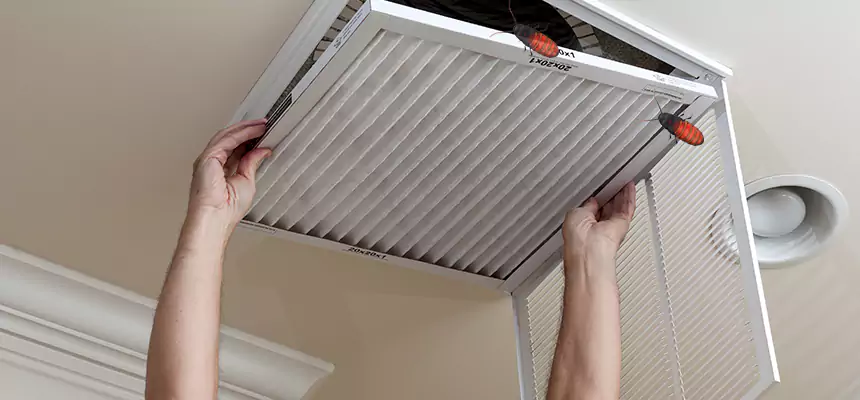 Preventive Cockroach-Proofing for Ducts in Melrose
