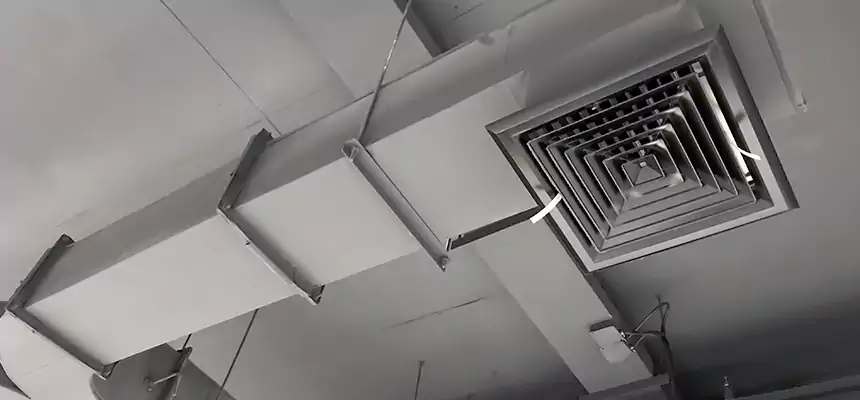 Restorative Allergy Relief Vent Cleaning – Coil, Blower & Housing Detail in Melrose