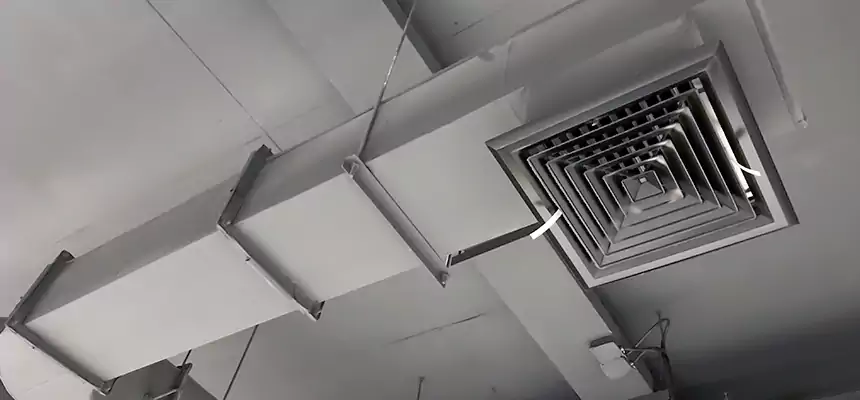 Our Pest Removal From Ducts Services in Melrose, MA