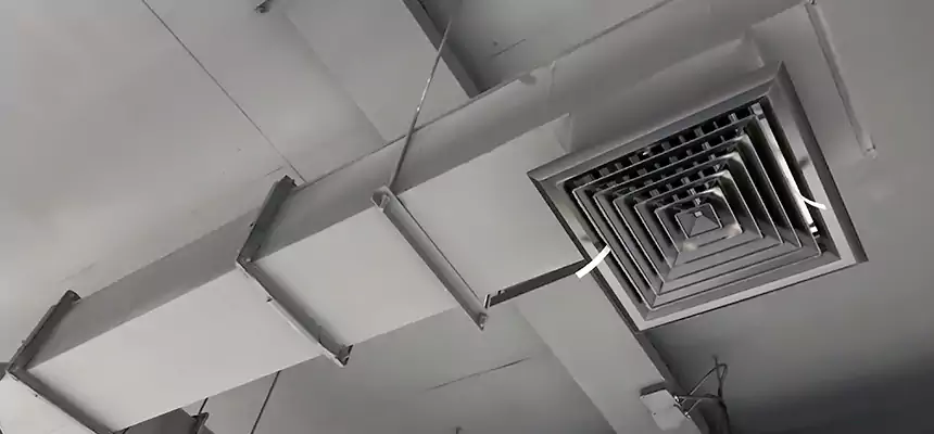 Our Rodent Droppings In Vents Services in Melrose, MA