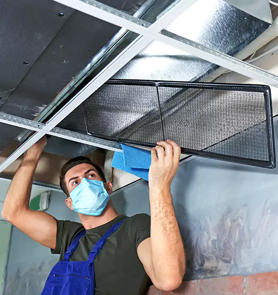 About Air Duct Bacteria Removal in Melrose