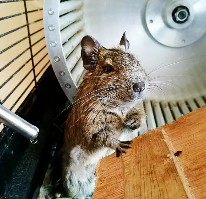 Why Homeowners & Businesses Trust Us Melrose, MA?